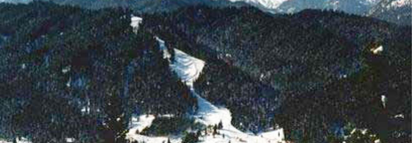 A panoramic view