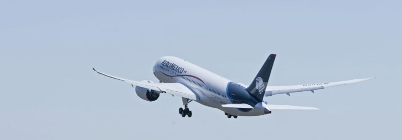 Aeromexico - 787 Dreamliner M