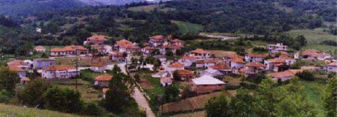 Αποψη του χωριού