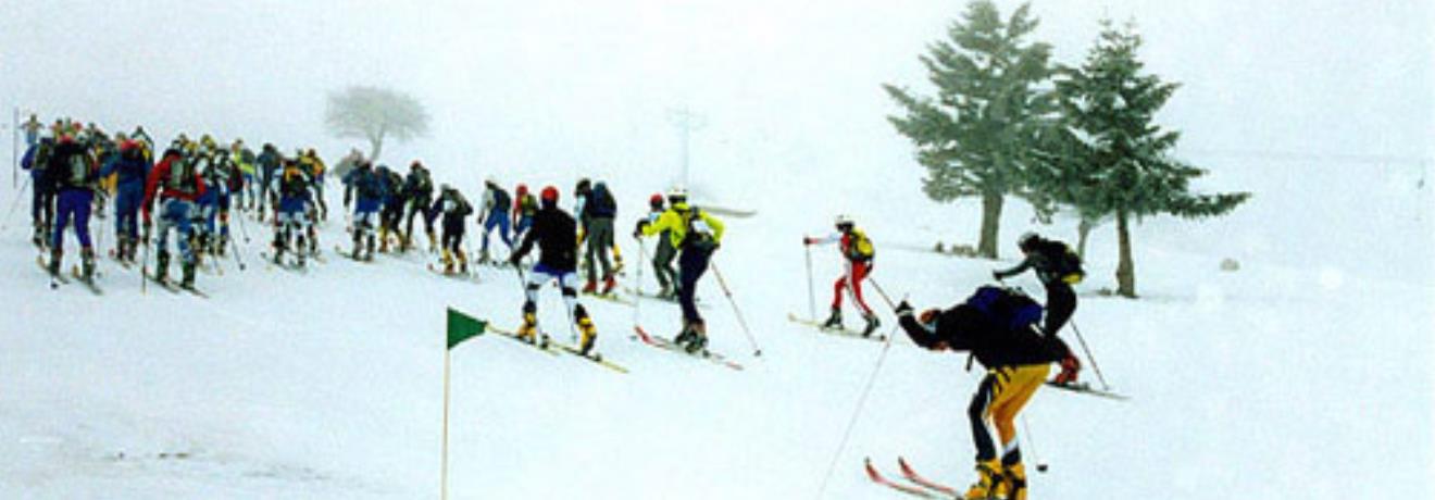 Ορειβατικό Σκι Πανευρωπαϊκού Κυπέλλου