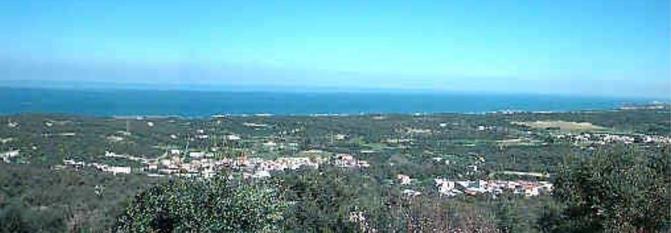 Panoramic view of Adele, Agia Paraskevi & Adelianos Kambos