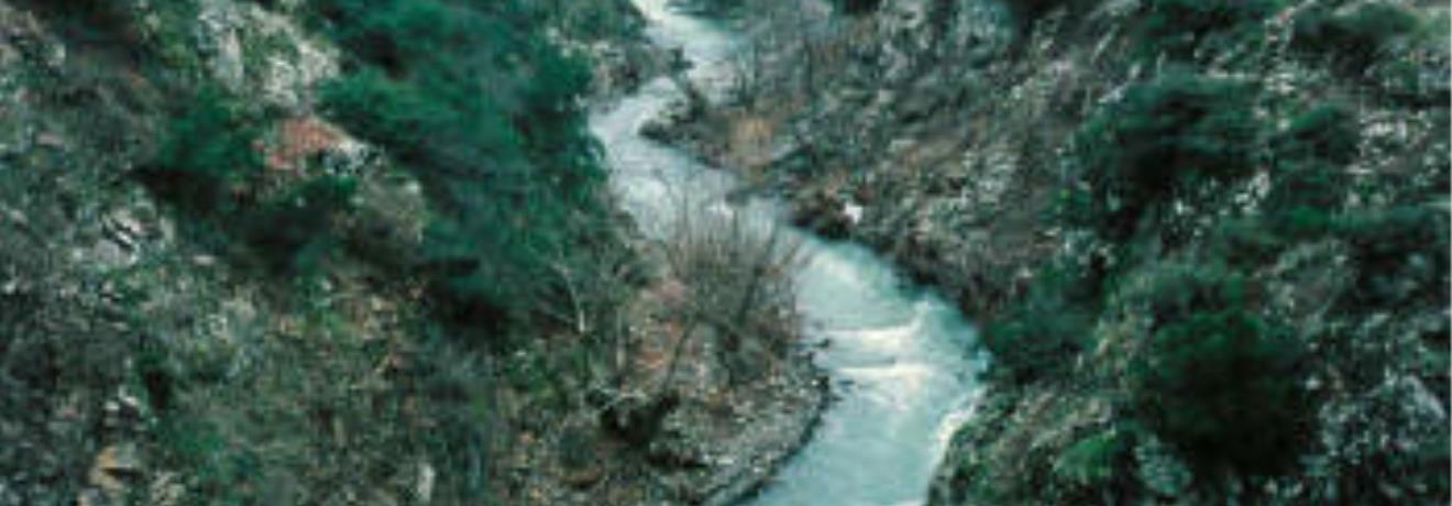 Chlorias river