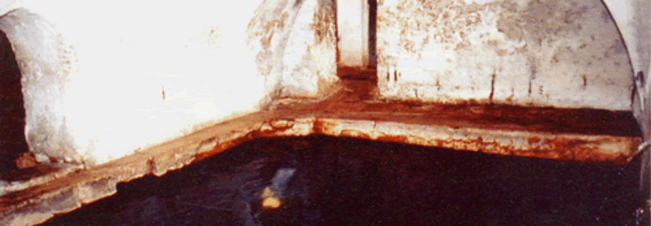 Agistro Community Spa Enterprise - the area's thermal waters were used for the elaboration of the metals from the iron & gold mines; in Byzantium the thermal springs were already used