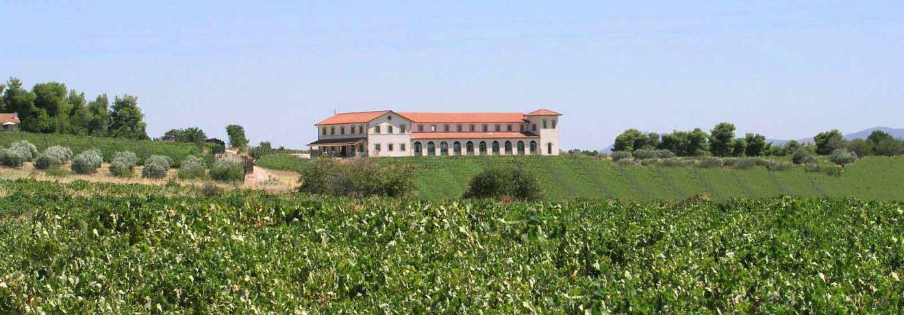 Vineyard - Winery