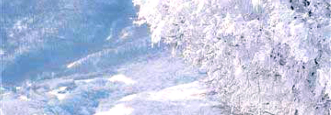 A snow-white picture