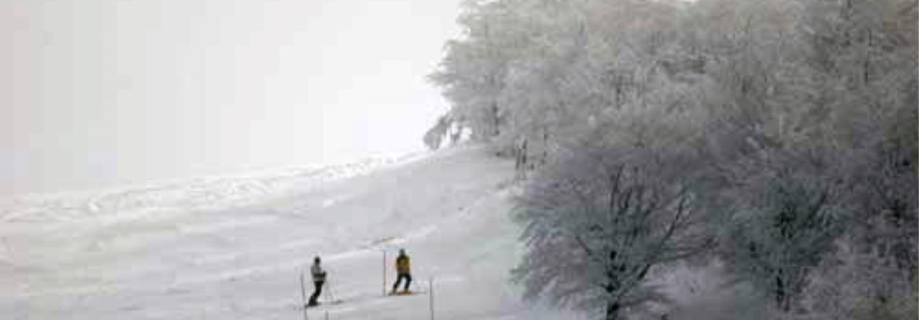 Skiers at the snowy landscape