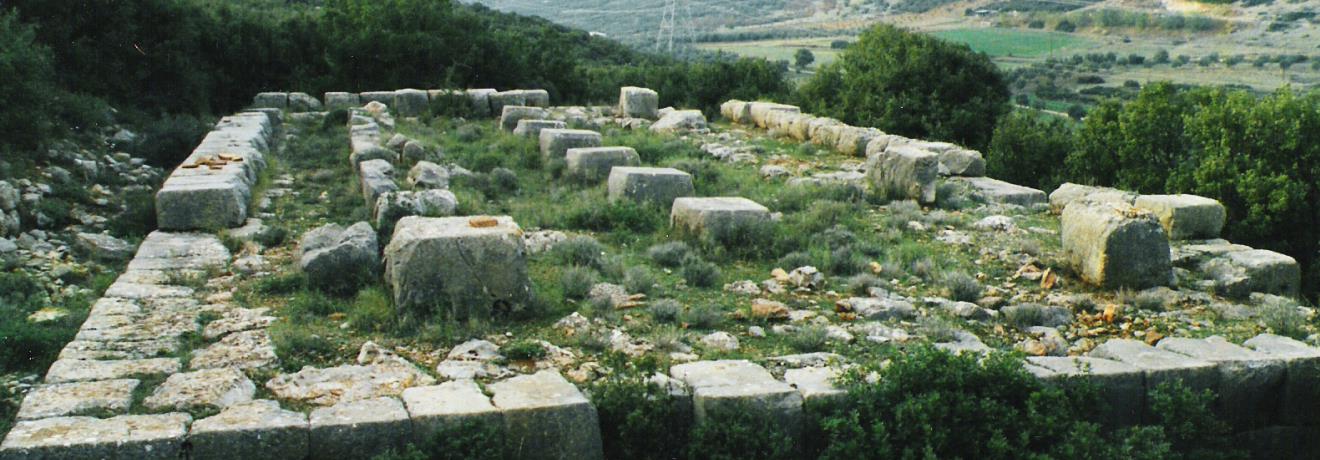Αρχαιολογικός χώρος Ακραιφνίου - Πτώου